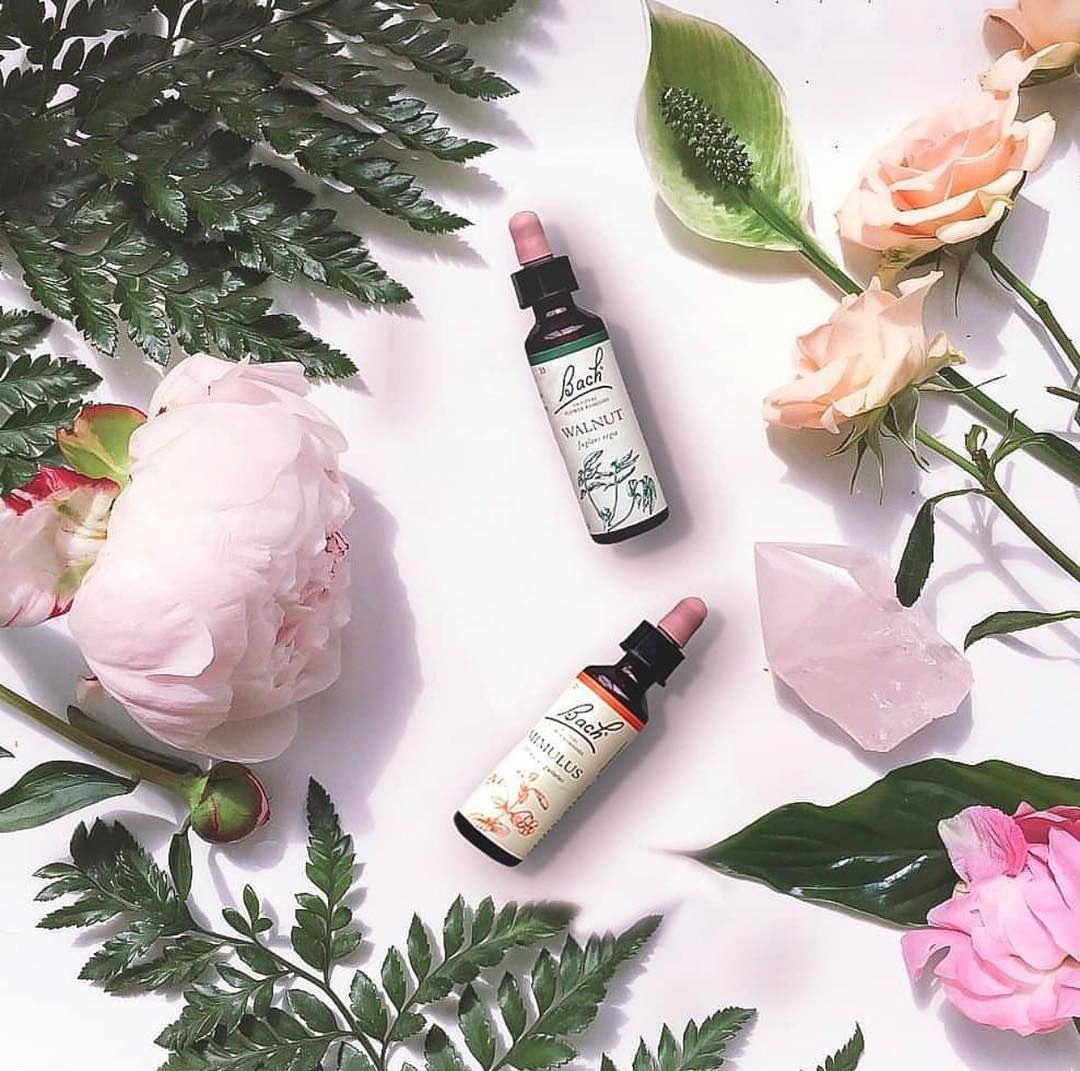 Flores e frascos em uma composição botânica para os Florais de Bach